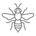 Wasp thin line icon, Insects concept, bee sign on white background, Wasp insect icon in outline style for mobile concept