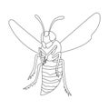 Wasp vector outline icon. Vector illustration insect wasp on white background. Isolated outline illustration icon of Royalty Free Stock Photo