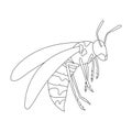 Wasp vector outline icon. Vector illustration insect wasp on white background. Isolated outline illustration icon of Royalty Free Stock Photo