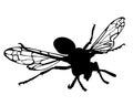 Wasp vector silhouette illustration isolated on white background. Honey bee vector silhouette symbol. Insect shadow. Hornet.