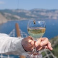 Wasp on a wine glass