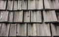 Wasp on a wooden tiled roof close-up. Weathered shingles Royalty Free Stock Photo