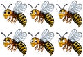 Wasps with different emotions Royalty Free Stock Photo