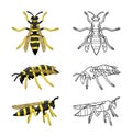 Wasps set colored and line versions isolated illustration on white background