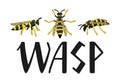 Wasps set and lettering isolated illustration on white background