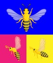 Wasps Vector