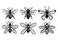 wasps vector logo set simple design black and white stencil insects