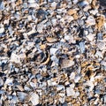 Close up of soil of shell foot path or trail