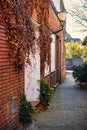 Ivy on the wall in a small historic alley Royalty Free Stock Photo