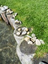 Wasser stones grass and wood