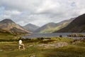 Wast water in english lake district Royalty Free Stock Photo