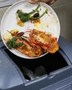 wastage of food,throwing food in to garbage bin, mostly seeing in hotels and party events