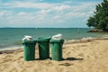 Waste bin on beach outdoor. Green waste sorting can for recycling and separate waste collection on beach against blue Royalty Free Stock Photo