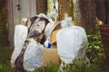 Waste boxes and garbage bags. Garbage collection in a holiday village