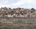 Waste dump of wood in the netherlands at almere Royalty Free Stock Photo