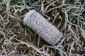 Waste from an empty drinking can dumped in nature. In ice crystals of dew frozen in winter. Royalty Free Stock Photo