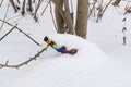 Waste, garbage, trash, under the snow in the forest. Littered nature Royalty Free Stock Photo