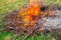 Waste incineration in summer cottages. Dry branches of trees burn with a bright flame. Danger of fire