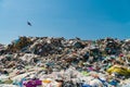 Waste landfill. Environmental pollution. Birds flying around