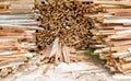 Waste old wood recycle stack for background Royalty Free Stock Photo