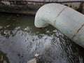 Waste pipe or drainage polluting the environment