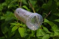 Waste and rubbish in the forest. Plastic glass. Royalty Free Stock Photo