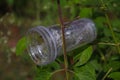 Waste and rubbish in the forest. Plastic glass. Royalty Free Stock Photo