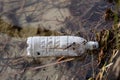 Waste and rubbish in the forest. Plastic bottles, cans and glass Royalty Free Stock Photo