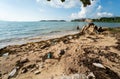 Waste on the sands causes environmental pollution. Trash on beach. Beach pollution. Plastic bottles and other trash on