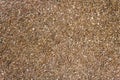 Waste sawdust background.