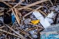 Waste from the Sea Lying on the Beach in Greece Royalty Free Stock Photo