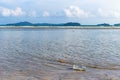 Waste water bottles that float on the beach side, environmental pollution problems from human beings. Royalty Free Stock Photo