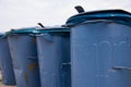 Wastebins at beach of baltic sea