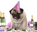 Wasted pug puppy dog wearing party hat, sitting down on confetti, fed up and drunk on champagne, tired of partying,