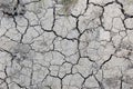 Wasteland background. Desert wasteland texture. Cracked dried wasteland ground surface. Arid land