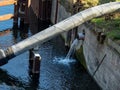 Wastewater flows from a pipe into a canal.