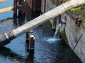 Wastewater flows from a pipe into a canal.