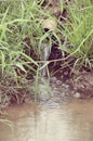 Wastewater flows from sewers into rivers. The concept of smuggling wastewater into natural rivers. causing pollution to the