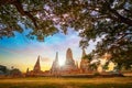 Wat Chaiwatthanaram temple in Ayuthaya Historical Park, Thailand Royalty Free Stock Photo