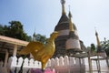 Wat Chedi Hoi or stupa gigantic fossilised oyster shells aged millions of years temple for thai people and foreign travelers