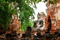 Wat Mahatat at Ayutthaya, Thailand