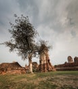 Wat Mahathat Temple Ruin, Ayuthaya, Thailand