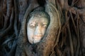 Wat Mahathat Thailand Travel Buddha Tree Roots