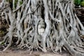  Buddhist temple in Ayutthaya. 