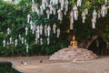 Buddha under the Bo tree at Wat Phan-Tao temple Royalty Free Stock Photo