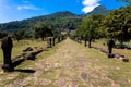 Wat Phou in Champasak