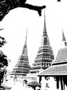 Wat Phra Chetuphon Wat Pho, is located behind the splendid Temple of the Emerald Buddha Illustrations creates an Black and white Royalty Free Stock Photo