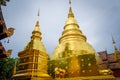 Wat Phra Singh golden stupa, Chiang Mai, Thailand Royalty Free Stock Photo