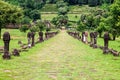 Wat Phu Champasak temple Royalty Free Stock Photo