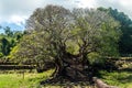 Wat Phu in Southern Laos